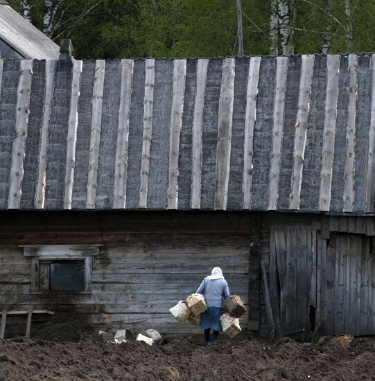 Potato planting in Bobrovka village, Omsk Region