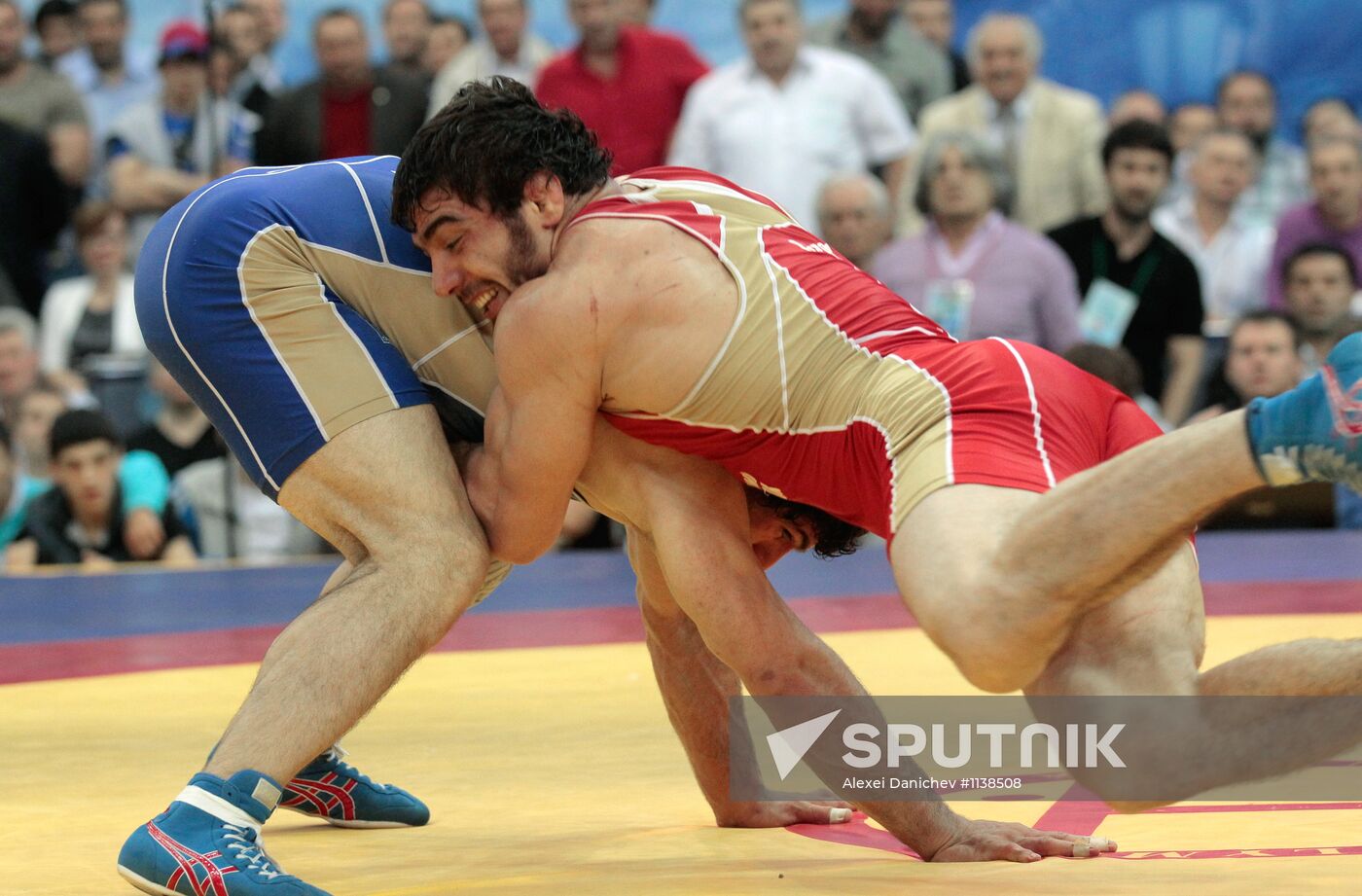 Wrestling Cup of Russia. 3rd day
