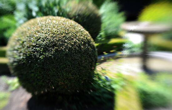 The Garden of Five Senses in Yvoire, France