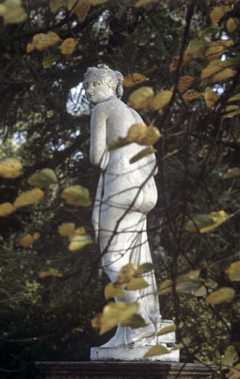 Venus