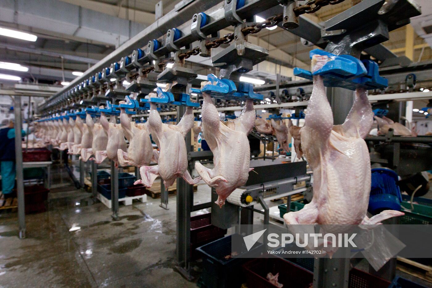 Tomsk Poultry Farm