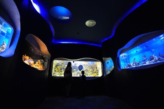 Renovated Aqua Gallery opens in Yekaterinburg