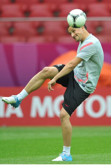 UEFA Euro 2012. Polish team holds training session