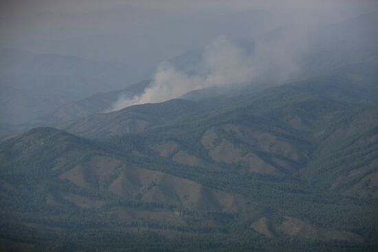 Forest fires battled in Tyva