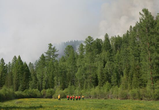 Forest fires battled in Tyva