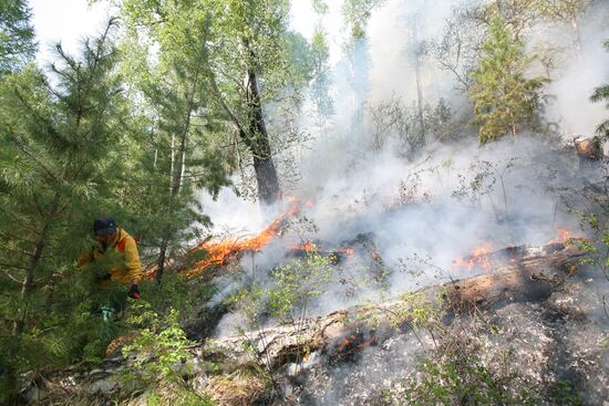 Forest fires battled in Tyva