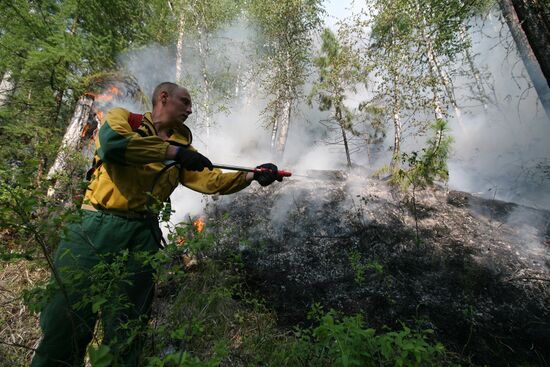 Forest fires battled in Tyva