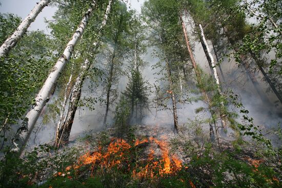 Fighting forest fires in republic of Tuva