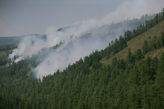 Forest fires battled in Tyva