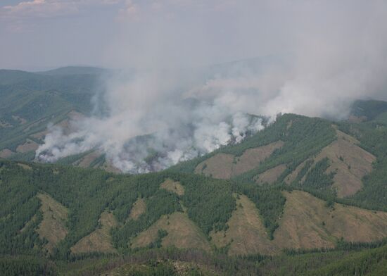 Forest fires in republic of Tuva