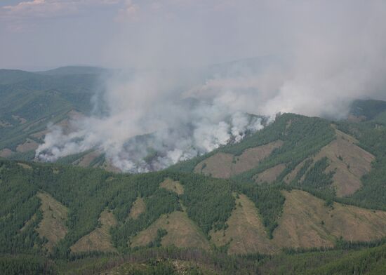 Forest fires in republic of Tuva