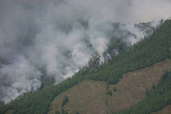 Forest fires in republic of Tuva