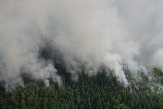 Forest fires in republic of Tuva