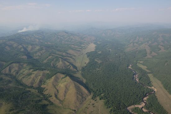 Forest fires battled in Tyva