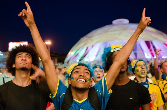 Football Euro 2012. Ukraine vs. Sweden