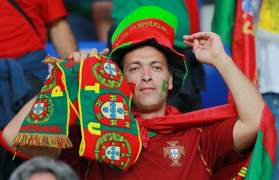UEFA Euro 2012. Portugal vs. Netherlands