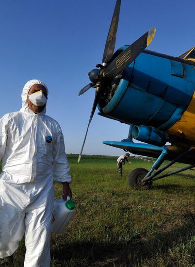 Locust control