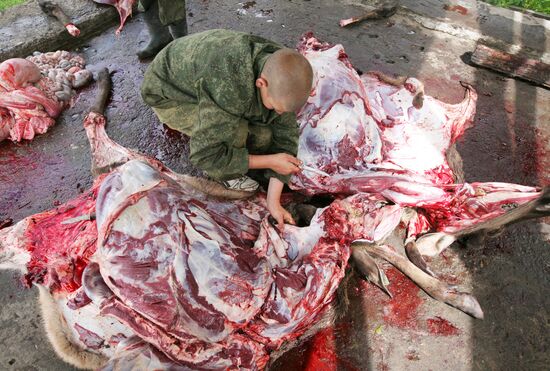 Red deer farm in Republic of Altai