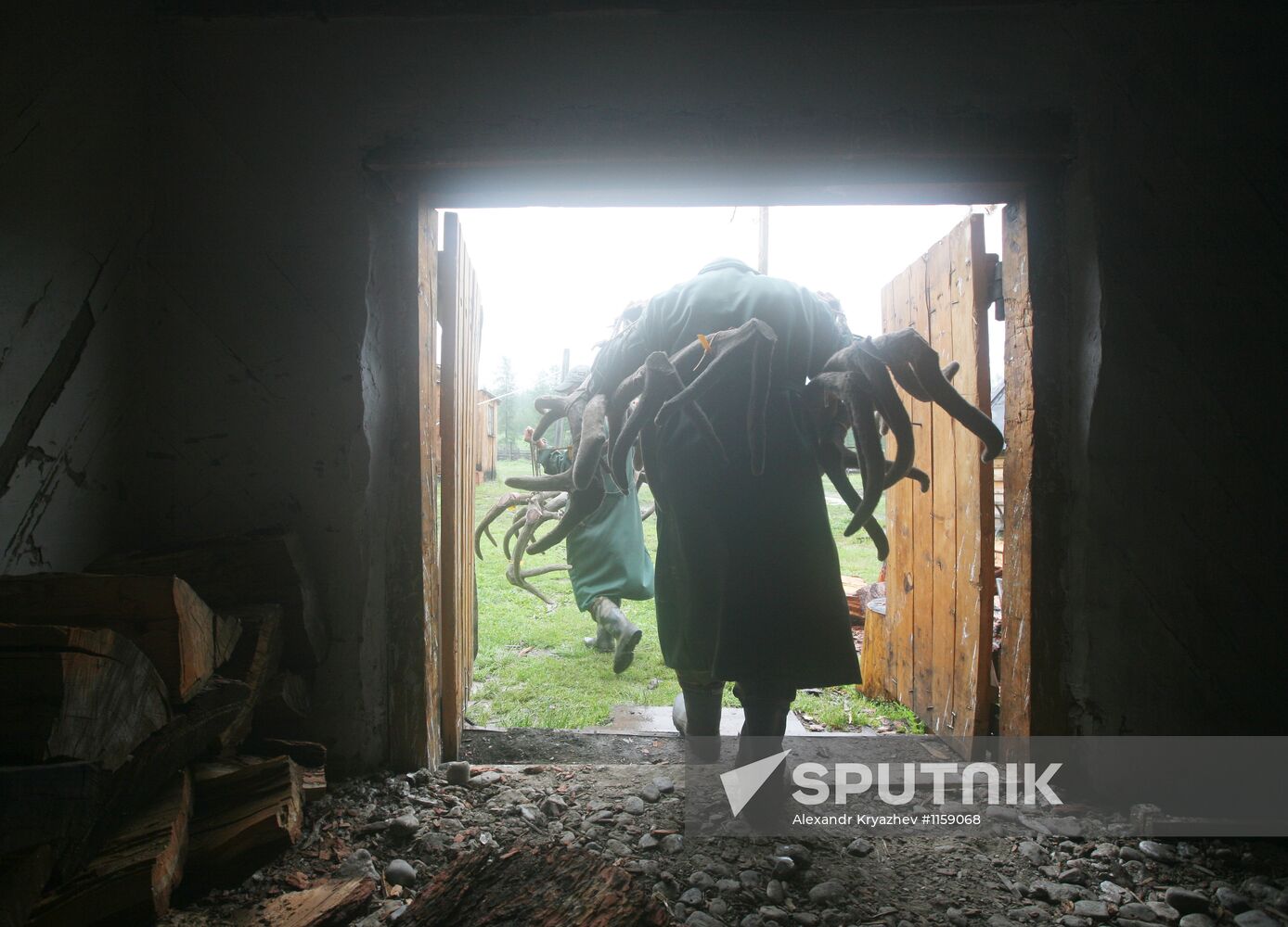Red deer farm in Republic of Altai
