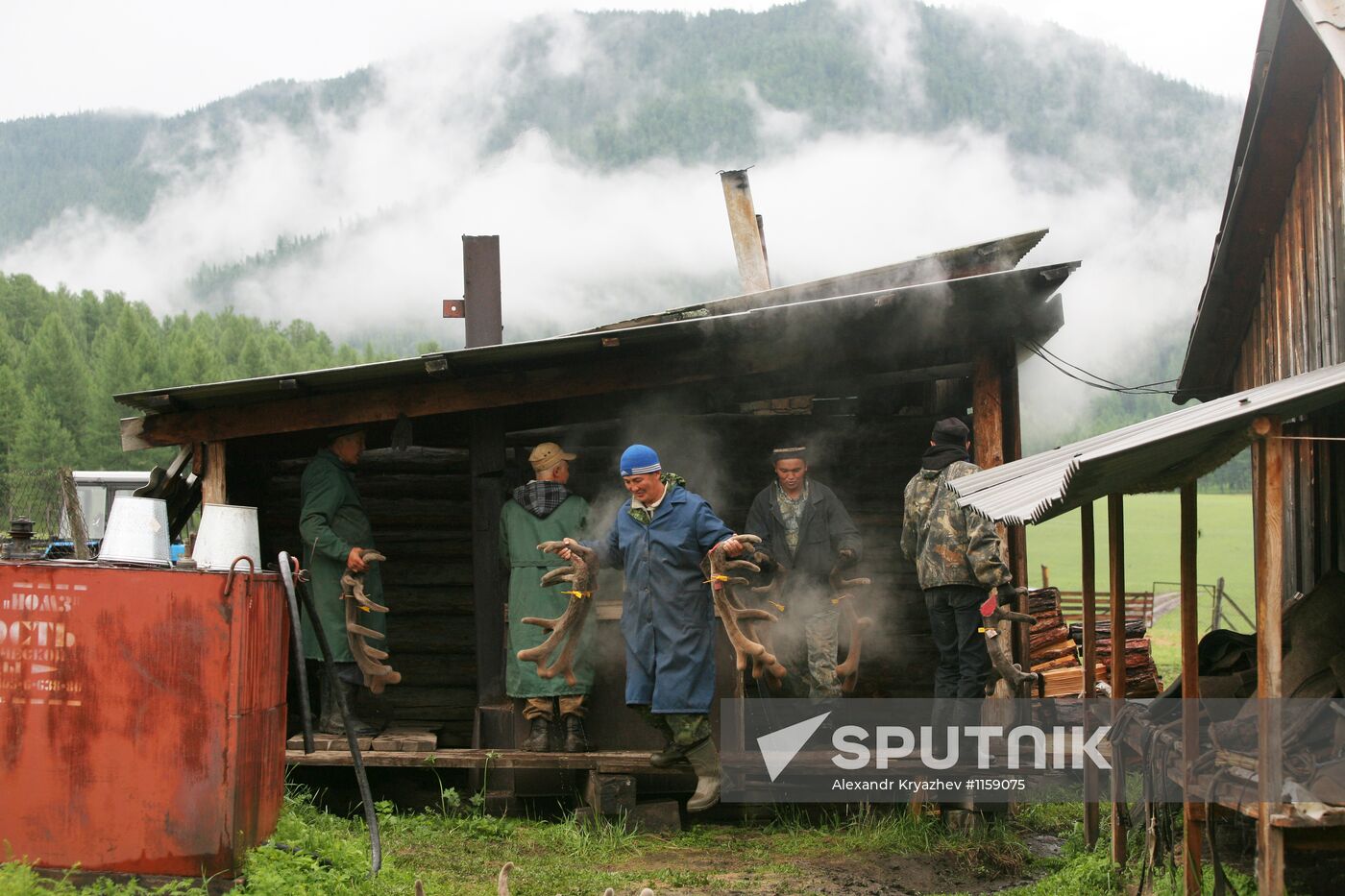 Red deer farm in Republic of Altai