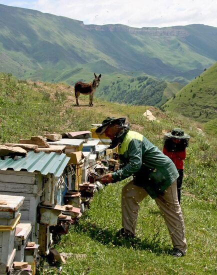 Life of villagers in Gunib District, Dagestan