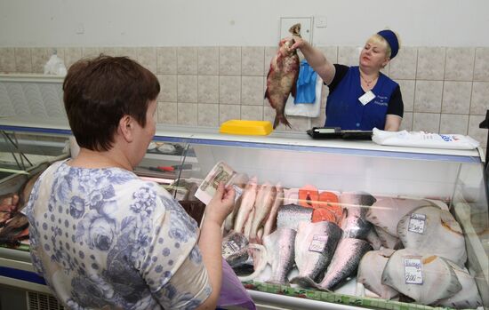 Selling fish at Zakharievsky Market in Kaliningrad