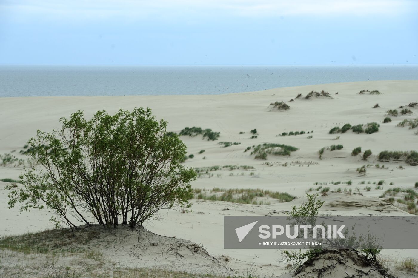 Curonian Spit National Park