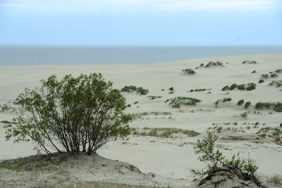 Curonian Spit National Park