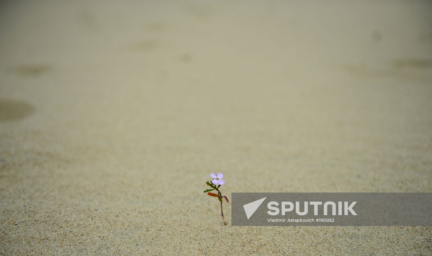 Curonian Spit National Park