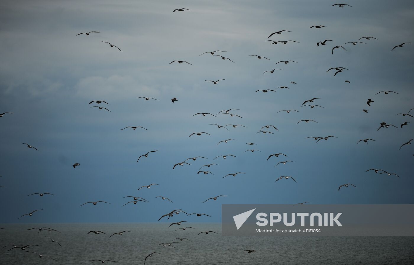 Curonian Spit National Park