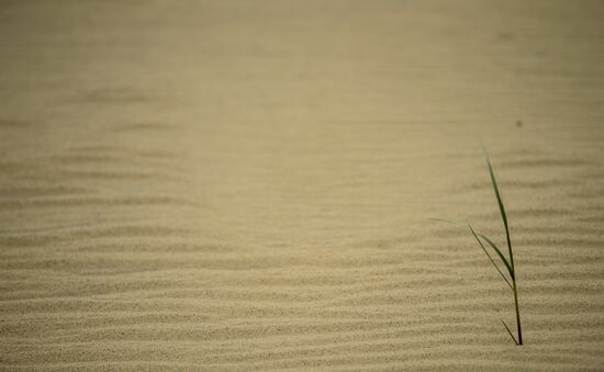 Curonian Spit National Park