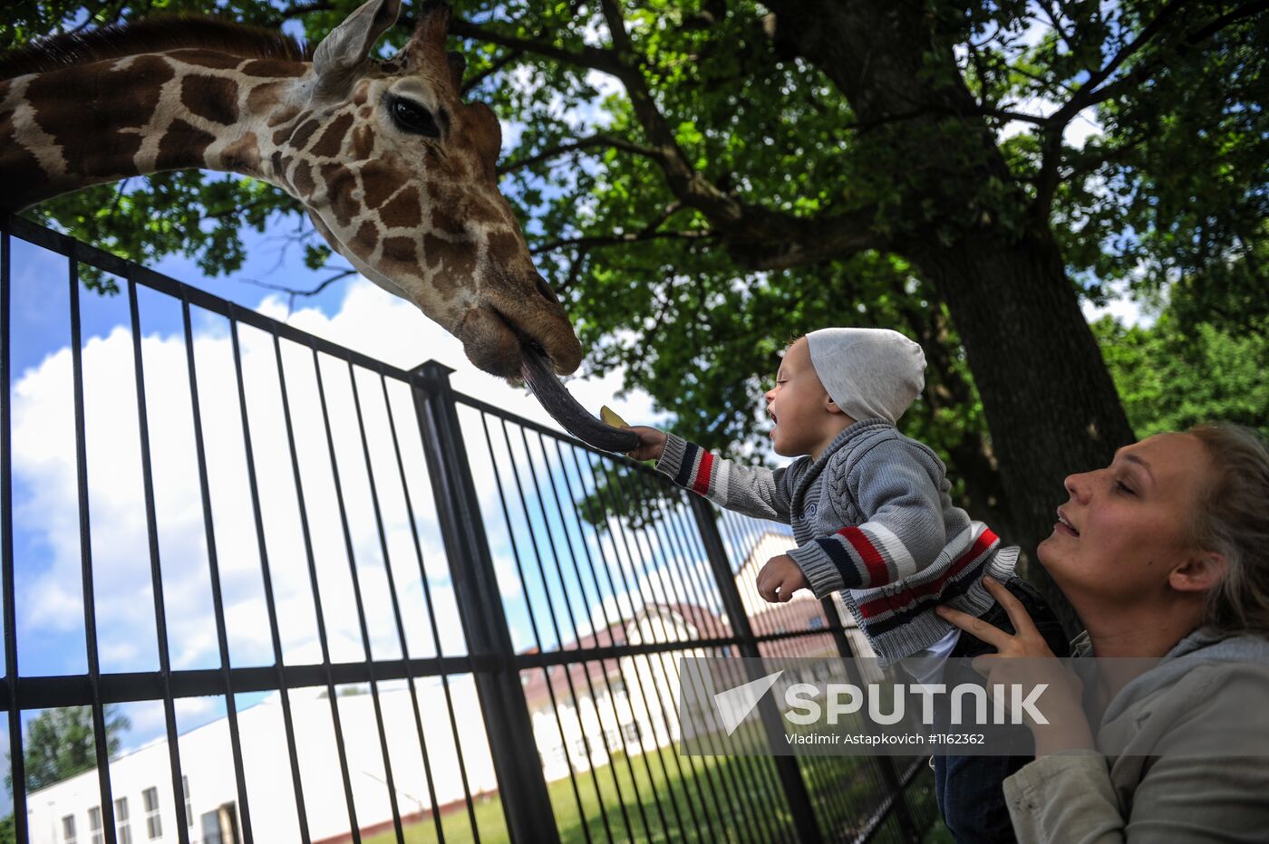 Kaliningrad Zoo