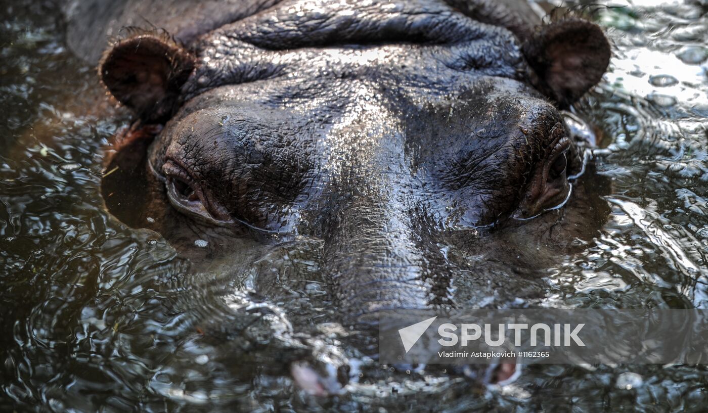 Kaliningrad Zoo