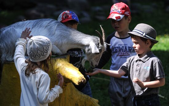 Kaliningrad Zoo