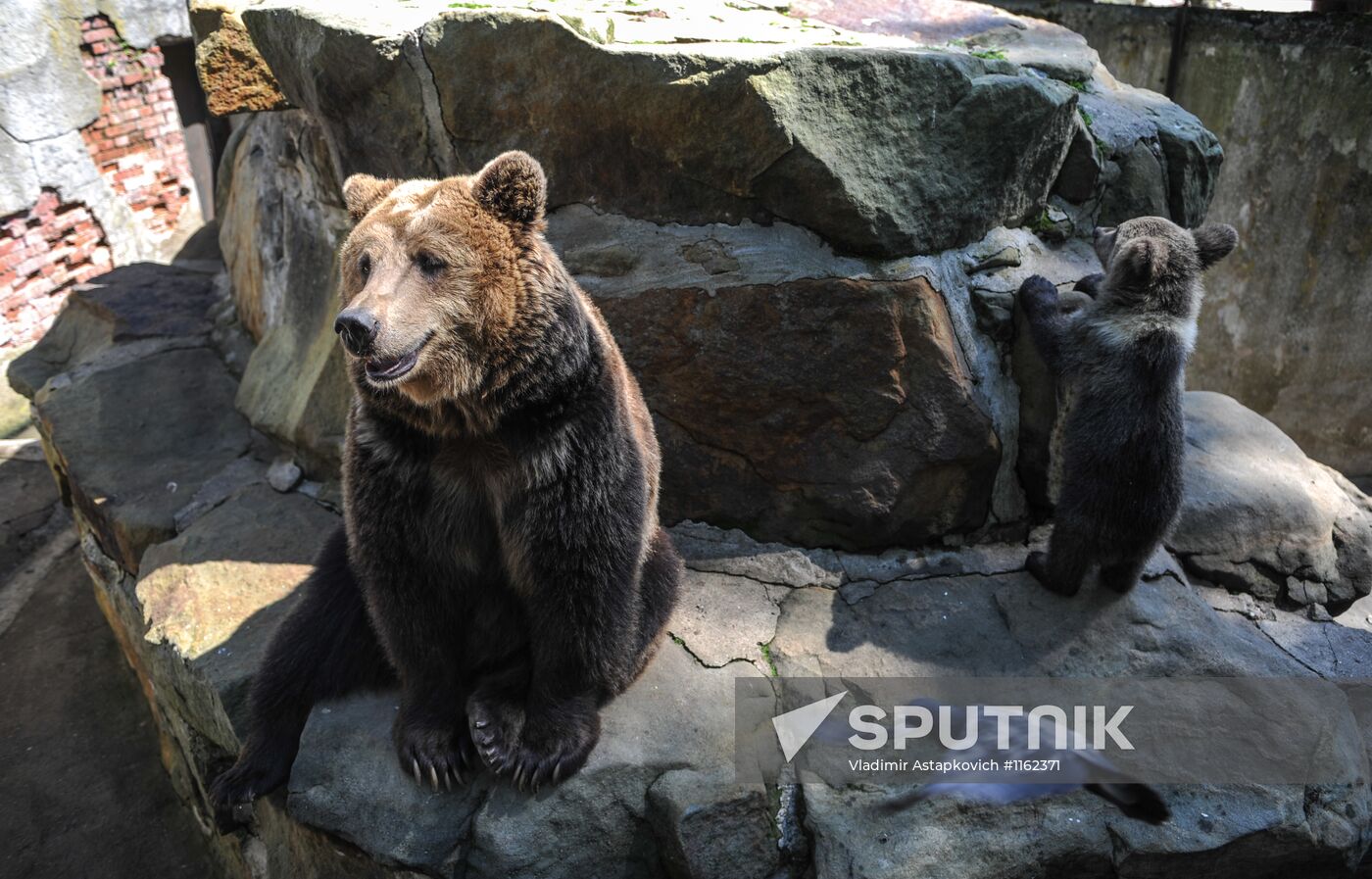 Kaliningrad Zoo