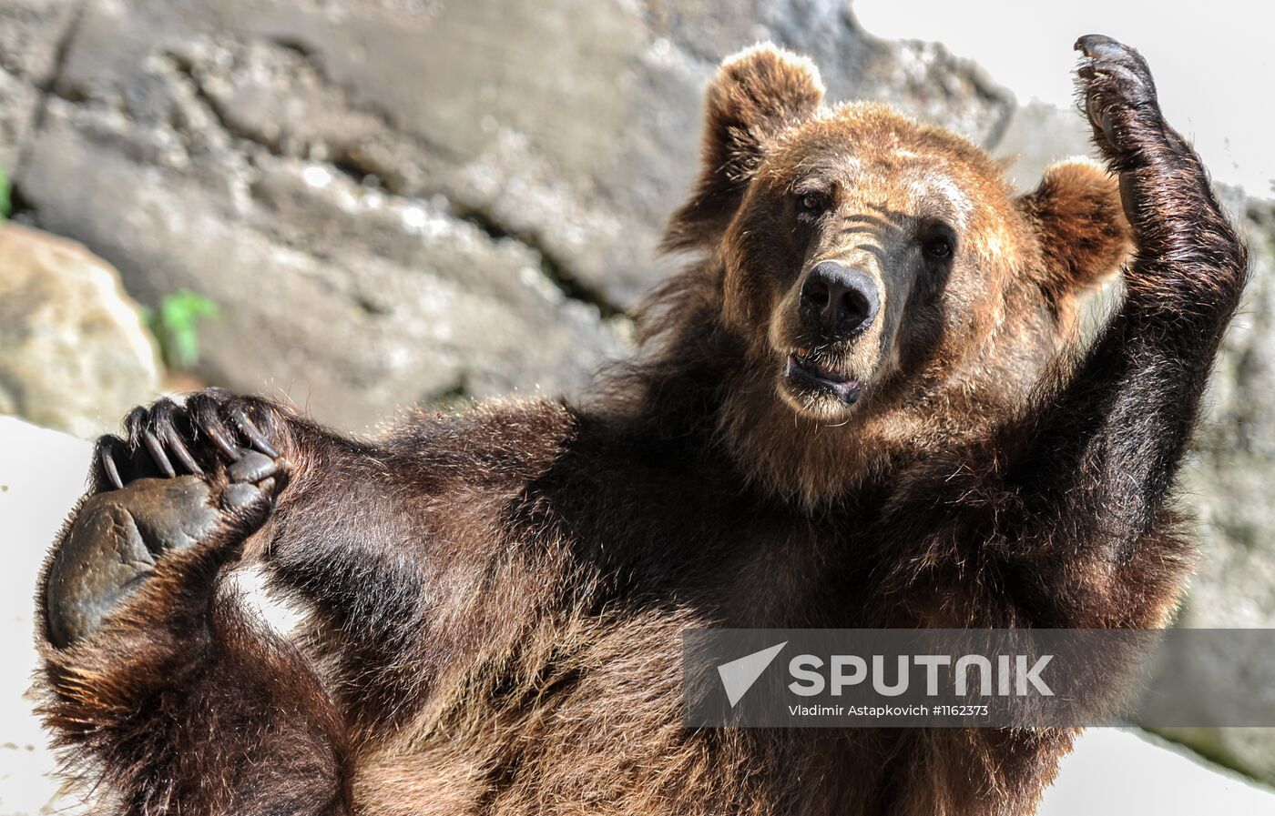 Kaliningrad Zoo