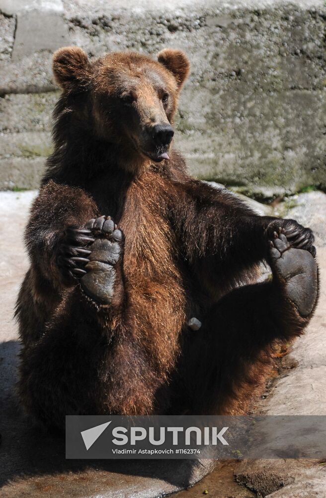 Kaliningrad Zoo