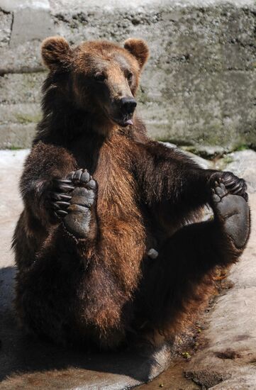 Kaliningrad Zoo