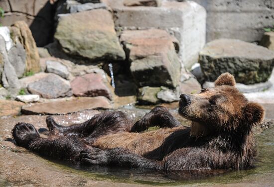 Kaliningrad Zoo
