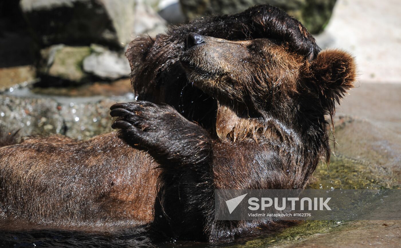 Kaliningrad Zoo