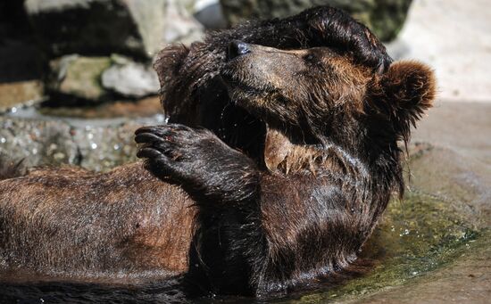 Kaliningrad Zoo