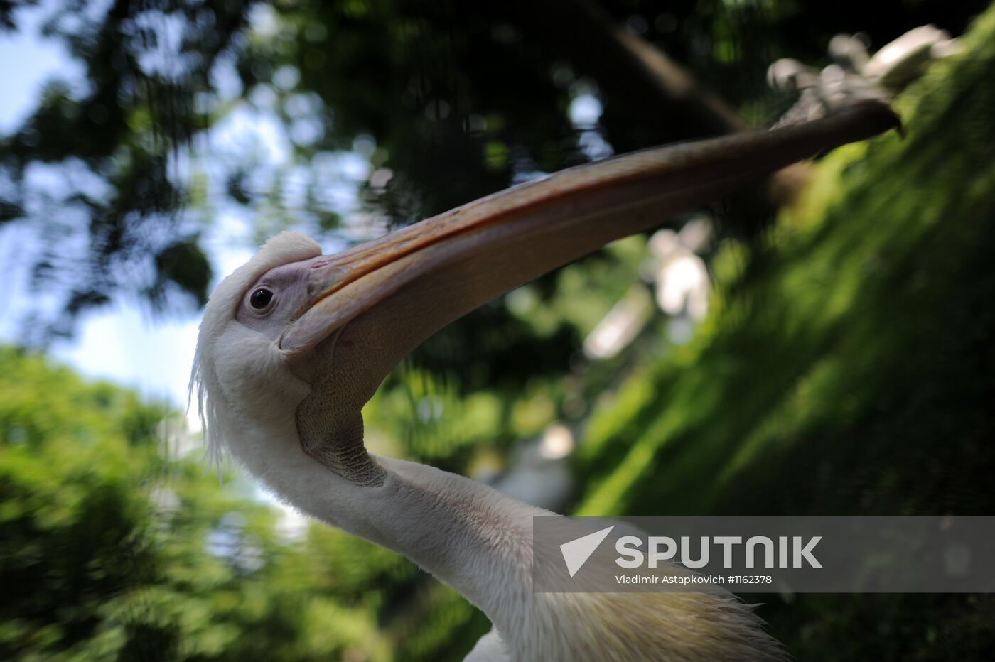 Kaliningrad Zoo