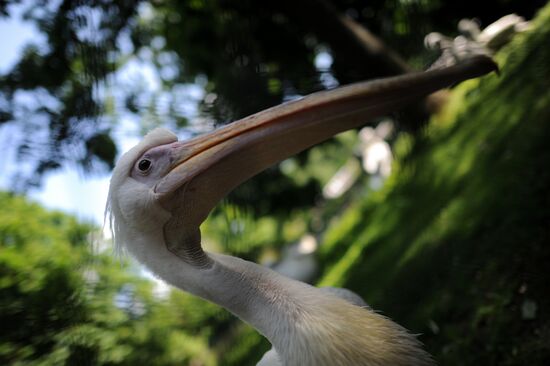 Kaliningrad Zoo