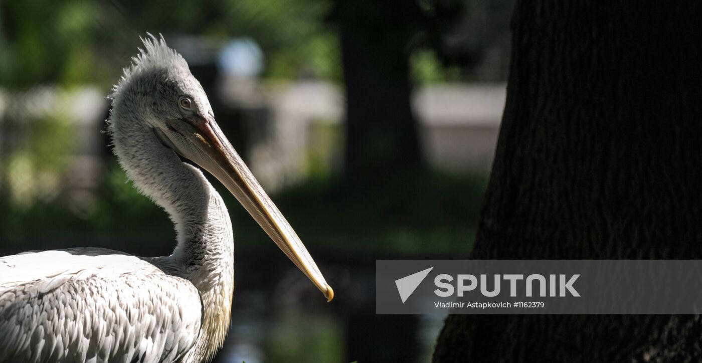 Kaliningrad Zoo