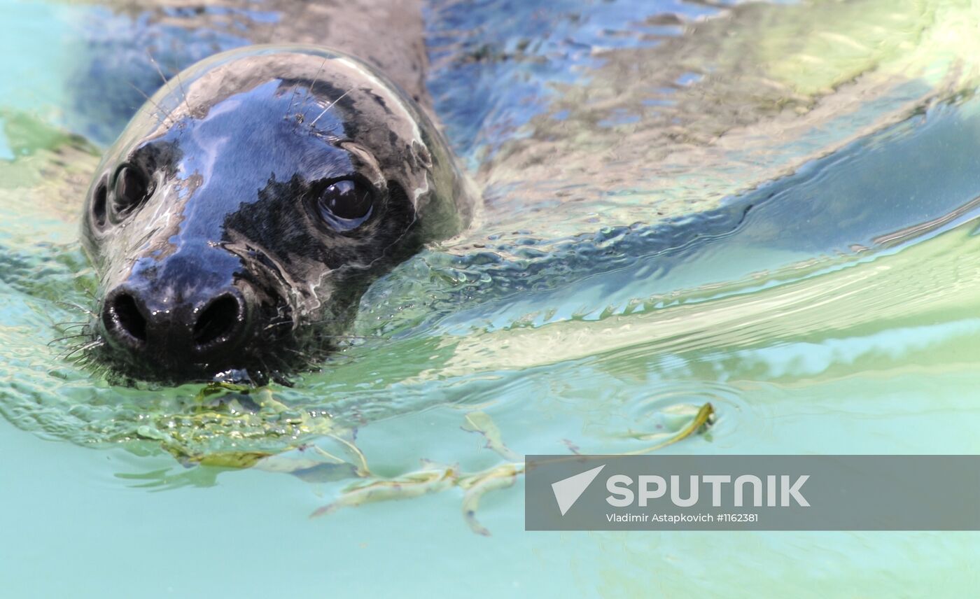 Kaliningrad Zoo