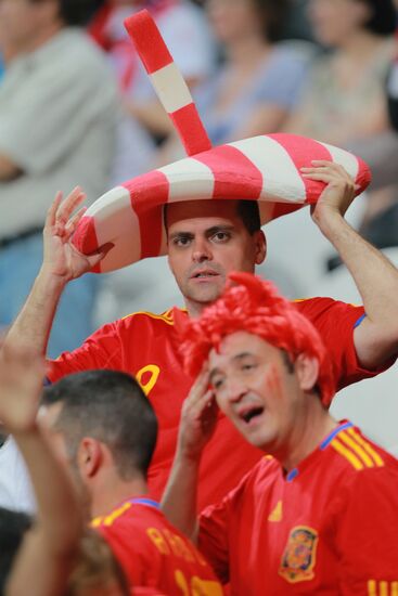UEFA Football Euro 2012. Spain vs. France