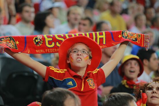 UEFA Football Euro 2012. Spain vs. France