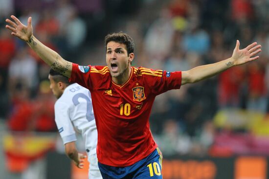 UEFA Football Euro 2012. Spain vs. France