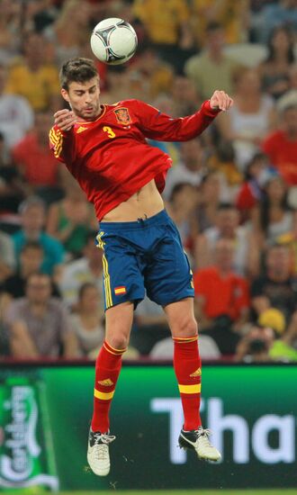 UEFA Football Euro 2012. Spain vs. France