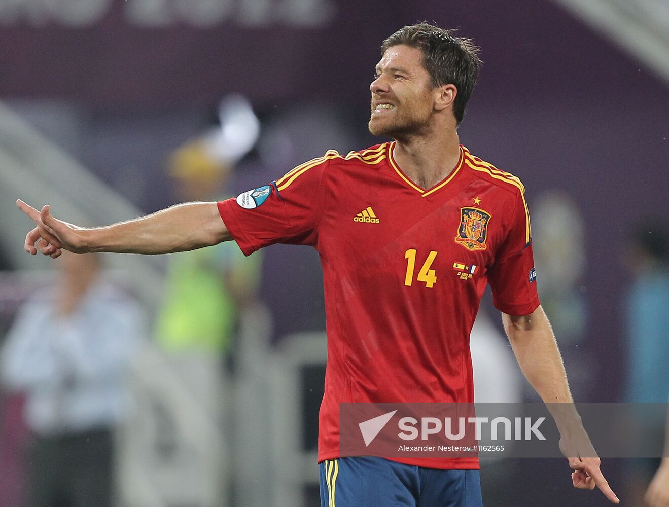 UEFA Football Euro 2012. Spain vs. France